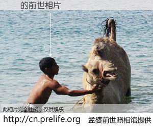 #孟婆前世照相馆# 【¶ 的前世相片】我们都曾从奈何桥上走过，喝下三碗忘川之水烹煮的孟婆汤，忘却了前尘旧事。孟婆前世照相馆，保存着你前世的数码相片。¶ 的前世相片，有图有真相：