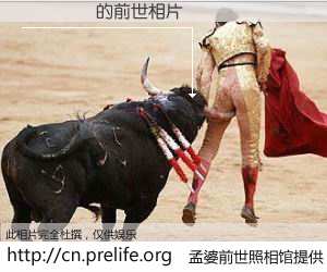 #孟婆前世照相馆# 【���� 的前世相片】我们都曾从奈何桥上走过，喝下三碗忘川之水烹煮的孟婆汤，忘却了前尘旧事。孟婆前世照相馆，保存着你前世的数码相片。���� 的前世相片，有图有真相：