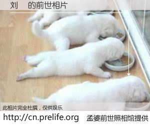 #孟婆前世照相馆# 【刘煇 的前世相片】我们都曾从奈何桥上走过，喝下三碗忘川之水烹煮的孟婆汤，忘却了前尘旧事。孟婆前世照相馆，保存着你前世的数码相片。刘煇 的前世相片，有图有真相：