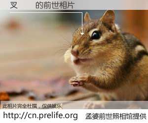 #孟婆前世照相馆# 【叉燒飯 的前世相片】我们都曾从奈何桥上走过，喝下三碗忘川之水烹煮的孟婆汤，忘却了前尘旧事。孟婆前世照相馆，保存着你前世的数码相片。叉燒飯 的前世相片，有图有真相：