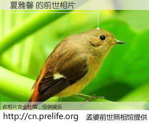 #孟婆前世照相馆# 【夏雅馨 的前世相片】我们都曾从奈何桥上走过，喝下三碗忘川之水烹煮的孟婆汤，忘却了前尘旧事。孟婆前世照相馆，保存着你前世的数码相片。夏雅馨 的前世相片，有图有真相：