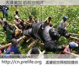 #孟婆前世照相馆# 【大泽美加 的前世相片】我们都曾从奈何桥上走过，喝下三碗忘川之水烹煮的孟婆汤，忘却了前尘旧事。孟婆前世照相馆，保存着你前世的数码相片。大泽美加 的前世相片，有图有真相：