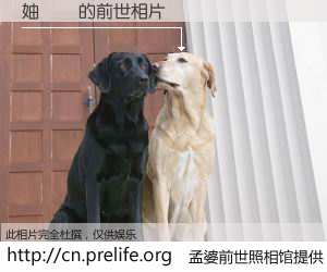 #孟婆前世照相馆# 【妯傜灣 的前世相片】我们都曾从奈何桥上走过，喝下三碗忘川之水烹煮的孟婆汤，忘却了前尘旧事。孟婆前世照相馆，保存着你前世的数码相片。妯傜灣 的前世相片，有图有真相：