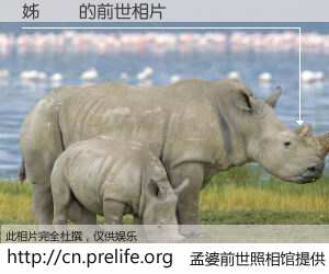 #孟婆前世照相馆# 【姊呯惔 的前世相片】我们都曾从奈何桥上走过，喝下三碗忘川之水烹煮的孟婆汤，忘却了前尘旧事。孟婆前世照相馆，保存着你前世的数码相片。姊呯惔 的前世相片，有图有真相：