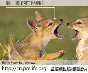 #孟婆前世照相馆# 【廖麗姬 的前世相片】我们都曾从奈何桥上走过，喝下三碗忘川之水烹煮的孟婆汤，忘却了前尘旧事。孟婆前世照相馆，保存着你前世的数码相片。廖麗姬 的前世相片，有图有真相：