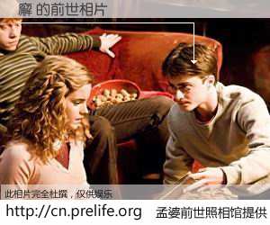 #孟婆前世照相馆# 【廨 的前世相片】我们都曾从奈何桥上走过，喝下三碗忘川之水烹煮的孟婆汤，忘却了前尘旧事。孟婆前世照相馆，保存着你前世的数码相片。廨 的前世相片，有图有真相：