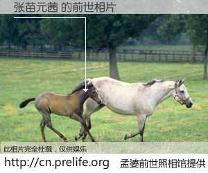 #孟婆前世照相馆# 【张苗元茜 的前世相片】我们都曾从奈何桥上走过，喝下三碗忘川之水烹煮的孟婆汤，忘却了前尘旧事。孟婆前世照相馆，保存着你前世的数码相片。张苗元茜 的前世相片，有图有真相：