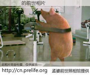 #孟婆前世照相馆# 【張麗貞 的前世相片】我们都曾从奈何桥上走过，喝下三碗忘川之水烹煮的孟婆汤，忘却了前尘旧事。孟婆前世照相馆，保存着你前世的数码相片。張麗貞 的前世相片，有图有真相：