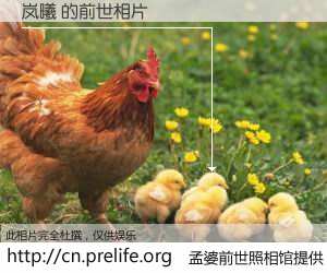 #孟婆前世照相馆# 【岚曦 的前世相片】我们都曾从奈何桥上走过，喝下三碗忘川之水烹煮的孟婆汤，忘却了前尘旧事。孟婆前世照相馆，保存着你前世的数码相片。岚曦 的前世相片，有图有真相：