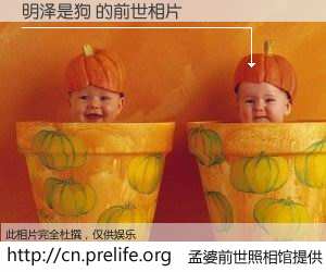 #孟婆前世照相馆# 【明泽是狗 的前世相片】我们都曾从奈何桥上走过，喝下三碗忘川之水烹煮的孟婆汤，忘却了前尘旧事。孟婆前世照相馆，保存着你前世的数码相片。明泽是狗 的前世相片，有图有真相：