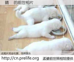 #孟婆前世照相馆# 【晴昇 的前世相片】我们都曾从奈何桥上走过，喝下三碗忘川之水烹煮的孟婆汤，忘却了前尘旧事。孟婆前世照相馆，保存着你前世的数码相片。晴昇 的前世相片，有图有真相：