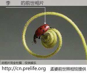 #孟婆前世照相馆# 【李鎮璉 的前世相片】我们都曾从奈何桥上走过，喝下三碗忘川之水烹煮的孟婆汤，忘却了前尘旧事。孟婆前世照相馆，保存着你前世的数码相片。李鎮璉 的前世相片，有图有真相：