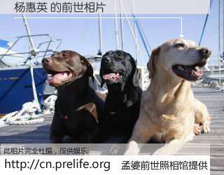 #孟婆前世照相馆# 【杨惠英 的前世相片】我们都曾从奈何桥上走过，喝下三碗忘川之水烹煮的孟婆汤，忘却了前尘旧事。孟婆前世照相馆，保存着你前世的数码相片。杨惠英 的前世相片，有图有真相：