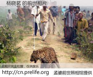 #孟婆前世照相馆# 【杨晓茗 的前世相片】我们都曾从奈何桥上走过，喝下三碗忘川之水烹煮的孟婆汤，忘却了前尘旧事。孟婆前世照相馆，保存着你前世的数码相片。杨晓茗 的前世相片，有图有真相：