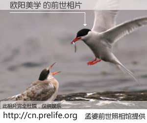 #孟婆前世照相馆# 【欧阳美学 的前世相片】我们都曾从奈何桥上走过，喝下三碗忘川之水烹煮的孟婆汤，忘却了前尘旧事。孟婆前世照相馆，保存着你前世的数码相片。欧阳美学 的前世相片，有图有真相：