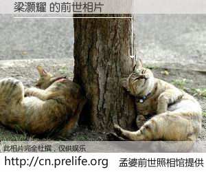 #孟婆前世照相馆# 【梁灏耀 的前世相片】我们都曾从奈何桥上走过，喝下三碗忘川之水烹煮的孟婆汤，忘却了前尘旧事。孟婆前世照相馆，保存着你前世的数码相片。梁灏耀 的前世相片，有图有真相：