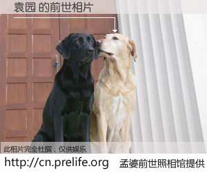 #孟婆前世照相馆# 【袁园 的前世相片】我们都曾从奈何桥上走过，喝下三碗忘川之水烹煮的孟婆汤，忘却了前尘旧事。孟婆前世照相馆，保存着你前世的数码相片。袁园 的前世相片，有图有真相：