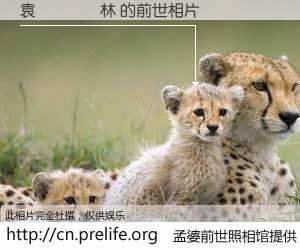 #孟婆前世照相馆# 【袁𢓭林 的前世相片】我们都曾从奈何桥上走过，喝下三碗忘川之水烹煮的孟婆汤，忘却了前尘旧事。孟婆前世照相馆，保存着你前世的数码相片。袁𢓭林 的前世相片，有图有真相：