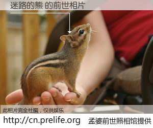 #孟婆前世照相馆# 【迷路的熊 的前世相片】我们都曾从奈何桥上走过，喝下三碗忘川之水烹煮的孟婆汤，忘却了前尘旧事。孟婆前世照相馆，保存着你前世的数码相片。迷路的熊 的前世相片，有图有真相：