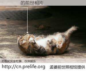 #孟婆前世照相馆# 【鍊牃 的前世相片】我们都曾从奈何桥上走过，喝下三碗忘川之水烹煮的孟婆汤，忘却了前尘旧事。孟婆前世照相馆，保存着你前世的数码相片。鍊牃 的前世相片，有图有真相：
