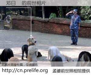 #孟婆前世照相馆# 【邓日燊 的前世相片】我们都曾从奈何桥上走过，喝下三碗忘川之水烹煮的孟婆汤，忘却了前尘旧事。孟婆前世照相馆，保存着你前世的数码相片。邓日燊 的前世相片，有图有真相：