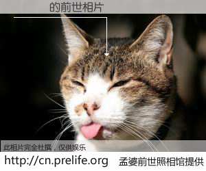 #孟婆前世照相馆# 【閮戠偧 的前世相片】我们都曾从奈何桥上走过，喝下三碗忘川之水烹煮的孟婆汤，忘却了前尘旧事。孟婆前世照相馆，保存着你前世的数码相片。閮戠偧 的前世相片，有图有真相：