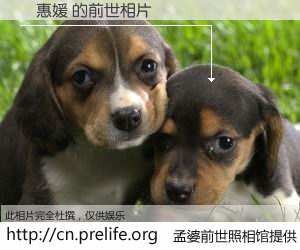 #孟婆前世照相馆# 【陳惠媛 的前世相片】我们都曾从奈何桥上走过，喝下三碗忘川之水烹煮的孟婆汤，忘却了前尘旧事。孟婆前世照相馆，保存着你前世的数码相片。陳惠媛 的前世相片，有图有真相：