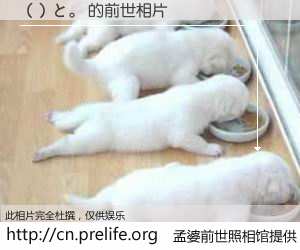 #孟婆前世照相馆# 【（）と。 的前世相片】我们都曾从奈何桥上走过，喝下三碗忘川之水烹煮的孟婆汤，忘却了前尘旧事。孟婆前世照相馆，保存着你前世的数码相片。（）と。 的前世相片，有图有真相：