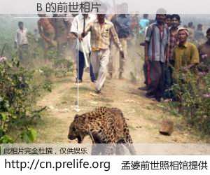 #孟婆前世照相馆# 【��B 的前世相片】我们都曾从奈何桥上走过，喝下三碗忘川之水烹煮的孟婆汤，忘却了前尘旧事。孟婆前世照相馆，保存着你前世的数码相片。��B 的前世相片，有图有真相：