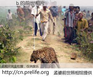 #孟婆前世照相馆# 【��b 的前世相片】我们都曾从奈何桥上走过，喝下三碗忘川之水烹煮的孟婆汤，忘却了前尘旧事。孟婆前世照相馆，保存着你前世的数码相片。��b 的前世相片，有图有真相：