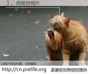 #孟婆前世照相馆# 【】、 的前世相片】我们都曾从奈何桥上走过，喝下三碗忘川之水烹煮的孟婆汤，忘却了前尘旧事。孟婆前世照相馆，保存着你前世的数码相片。】、 的前世相片，有图有真相：