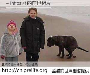 #孟婆前世照相馆# 【- [https:/t 的前世相片】我们都曾从奈何桥上走过，喝下三碗忘川之水烹煮的孟婆汤，忘却了前尘旧事。孟婆前世照相馆，保存着你前世的数码相片。- [https:/t 的前世相片，有图有真相：