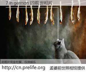 #孟婆前世照相馆# 【7 in german 的前世相片】我们都曾从奈何桥上走过，喝下三碗忘川之水烹煮的孟婆汤，忘却了前尘旧事。孟婆前世照相馆，保存着你前世的数码相片。7 in german 的前世相片，有图有真相：