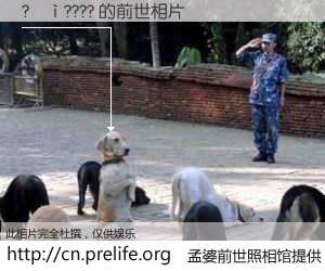 #孟婆前世照相馆# 【?��???? 的前世相片】我们都曾从奈何桥上走过，喝下三碗忘川之水烹煮的孟婆汤，忘却了前尘旧事。孟婆前世照相馆，保存着你前世的数码相片。?��???? 的前世相片，有图有真相：