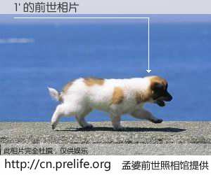 #孟婆前世照相馆# 【1' 的前世相片】我们都曾从奈何桥上走过，喝下三碗忘川之水烹煮的孟婆汤，忘却了前尘旧事。孟婆前世照相馆，保存着你前世的数码相片。1' 的前世相片，有图有真相：