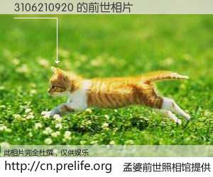 #孟婆前世照相馆# 【3106210920 的前世相片】我们都曾从奈何桥上走过，喝下三碗忘川之水烹煮的孟婆汤，忘却了前尘旧事。孟婆前世照相馆，保存着你前世的数码相片。3106210920 的前世相片，有图有真相：