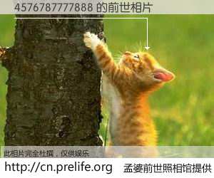 #孟婆前世照相馆# 【4576787777888 的前世相片】我们都曾从奈何桥上走过，喝下三碗忘川之水烹煮的孟婆汤，忘却了前尘旧事。孟婆前世照相馆，保存着你前世的数码相片。4576787777888 的前世相片，有图有真相：