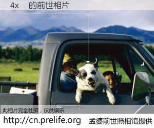 #孟婆前世照相馆# 【4x貓 的前世相片】我们都曾从奈何桥上走过，喝下三碗忘川之水烹煮的孟婆汤，忘却了前尘旧事。孟婆前世照相馆，保存着你前世的数码相片。4x貓 的前世相片，有图有真相：