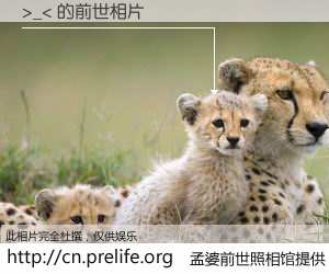 #孟婆前世照相馆# 【>_< 的前世相片】我们都曾从奈何桥上走过，喝下三碗忘川之水烹煮的孟婆汤，忘却了前尘旧事。孟婆前世照相馆，保存着你前世的数码相片。>_< 的前世相片，有图有真相：