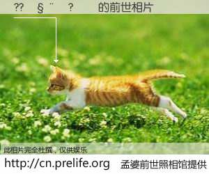 #孟婆前世照相馆# 【??? 的前世相片】我们都曾从奈何桥上走过，喝下三碗忘川之水烹煮的孟婆汤，忘却了前尘旧事。孟婆前世照相馆，保存着你前世的数码相片。??? 的前世相片，有图有真相：