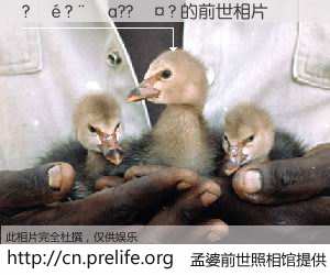 #孟婆前世照相馆# 【?��?��a??��? 的前世相片】我们都曾从奈何桥上走过，喝下三碗忘川之水烹煮的孟婆汤，忘却了前尘旧事。孟婆前世照相馆，保存着你前世的数码相片。?��?��a??��? 的前世相片，有图有真相：