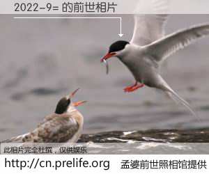 #孟婆前世照相馆# 【2022-9= 的前世相片】我们都曾从奈何桥上走过，喝下三碗忘川之水烹煮的孟婆汤，忘却了前尘旧事。孟婆前世照相馆，保存着你前世的数码相片。2022-9= 的前世相片，有图有真相：