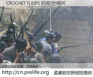 #孟婆前世照相馆# 【CROCHET TULIPS 的前世相片】我们都曾从奈何桥上走过，喝下三碗忘川之水烹煮的孟婆汤，忘却了前尘旧事。孟婆前世照相馆，保存着你前世的数码相片。CROCHET TULIPS 的前世相片，有图有真相：