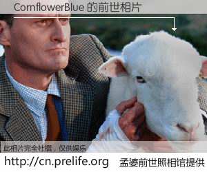 #孟婆前世照相馆# 【CornflowerBlue 的前世相片】我们都曾从奈何桥上走过，喝下三碗忘川之水烹煮的孟婆汤，忘却了前尘旧事。孟婆前世照相馆，保存着你前世的数码相片。CornflowerBlue 的前世相片，有图有真相：