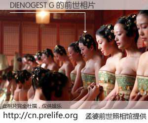 #孟婆前世照相馆# 【DIENOGEST G 的前世相片】我们都曾从奈何桥上走过，喝下三碗忘川之水烹煮的孟婆汤，忘却了前尘旧事。孟婆前世照相馆，保存着你前世的数码相片。DIENOGEST G 的前世相片，有图有真相：