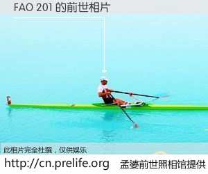 #孟婆前世照相馆# 【FAO 201 的前世相片】我们都曾从奈何桥上走过，喝下三碗忘川之水烹煮的孟婆汤，忘却了前尘旧事。孟婆前世照相馆，保存着你前世的数码相片。FAO 201 的前世相片，有图有真相：