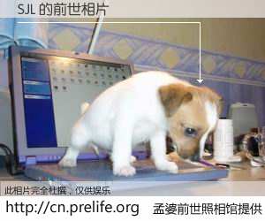 #孟婆前世照相馆# 【SJL 的前世相片】我们都曾从奈何桥上走过，喝下三碗忘川之水烹煮的孟婆汤，忘却了前尘旧事。孟婆前世照相馆，保存着你前世的数码相片。SJL 的前世相片，有图有真相：