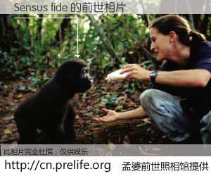 #孟婆前世照相馆# 【Sensus fide 的前世相片】我们都曾从奈何桥上走过，喝下三碗忘川之水烹煮的孟婆汤，忘却了前尘旧事。孟婆前世照相馆，保存着你前世的数码相片。Sensus fide 的前世相片，有图有真相：