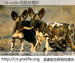 #孟婆前世照相馆# 【Q-code 的前世相片】我们都曾从奈何桥上走过，喝下三碗忘川之水烹煮的孟婆汤，忘却了前尘旧事。孟婆前世照相馆，保存着你前世的数码相片。Q-code 的前世相片，有图有真相：