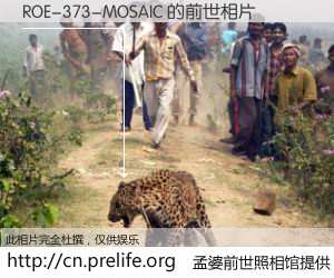 #孟婆前世照相馆# 【ROE-373-MOSAIC 的前世相片】我们都曾从奈何桥上走过，喝下三碗忘川之水烹煮的孟婆汤，忘却了前尘旧事。孟婆前世照相馆，保存着你前世的数码相片。ROE-373-MOSAIC 的前世相片，有图有真相：